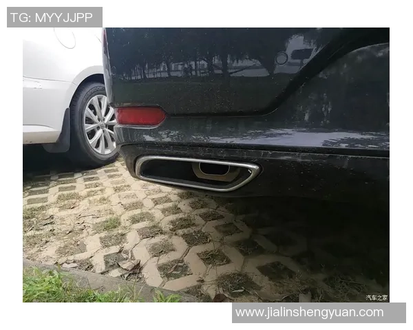 赛后分析:上海飞盘队与武汉飞盘队的战术意识与表现对比